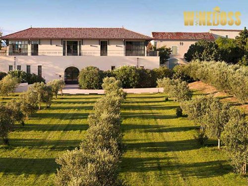Rượu vang Chateau Paul Mas Clos Moulinas Pezenas 1 Rượu vang Chateau Paul Mas Clos Moulinas Pezenas 1