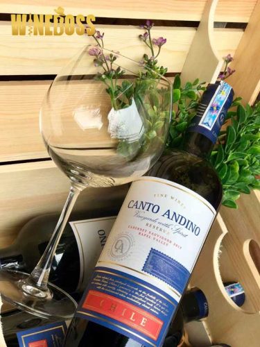 Rượu vang Canto Andino Reserva Cabernet sauvignon 1