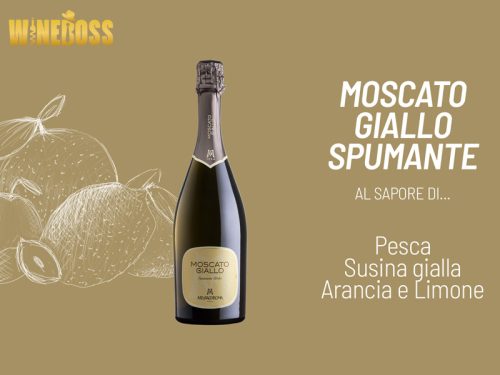 Rượu vang Mezzacorona Moscato Giallo Spumante 1