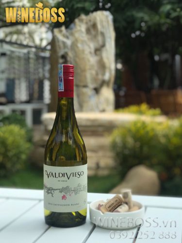 Rượu Vang Chile Valdivieso Classic Sauvignon Blanc