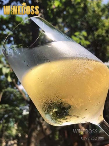 Rượu Vang Pháp Rolly Gassmann Riesling Rượu Vang Pháp Rolly Gassmann Riesling