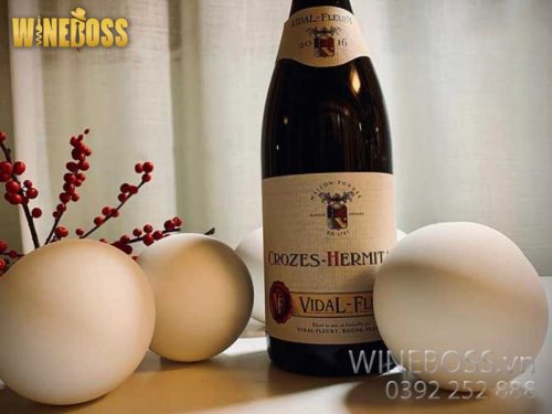 Rượu Vang Pháp Vidal Fleury Crozes Hermitage 2015