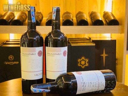 Rượu Vang Ý Tagaro Pignataro Primitivo Rượu Vang Ý Tagaro Pignataro Primitivo